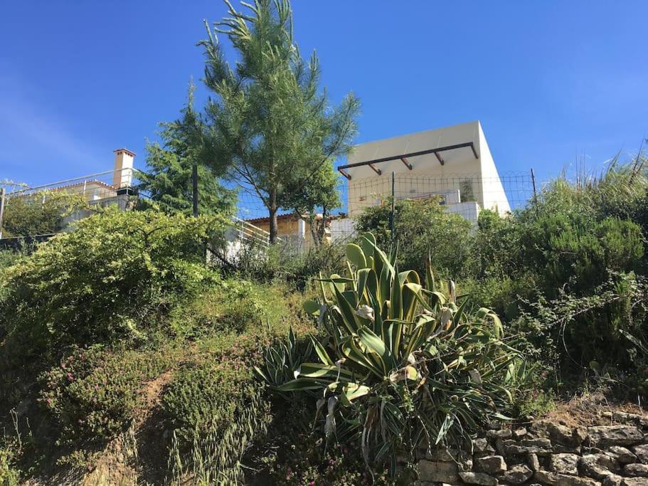 A Casa Da Lua Villa Tomar Kültér fotó