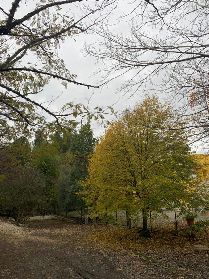 A Casa Da Lua Villa Tomar Kültér fotó